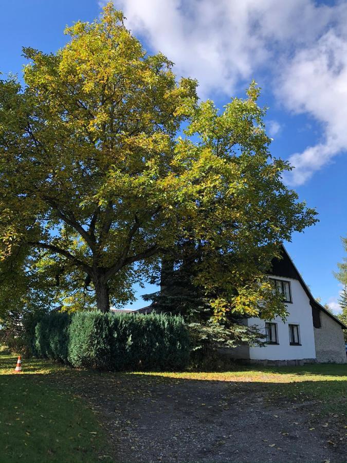 Villa Utulna Chaloupka V Krkonosich à Vysoké nad Jizerou Extérieur photo